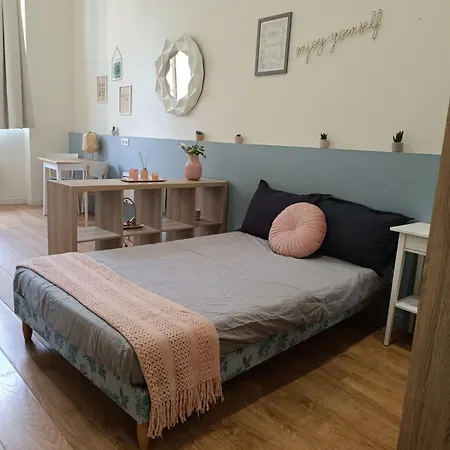 Stella Cosy Proche Tram - Parking Saint-Etienne (Loire)